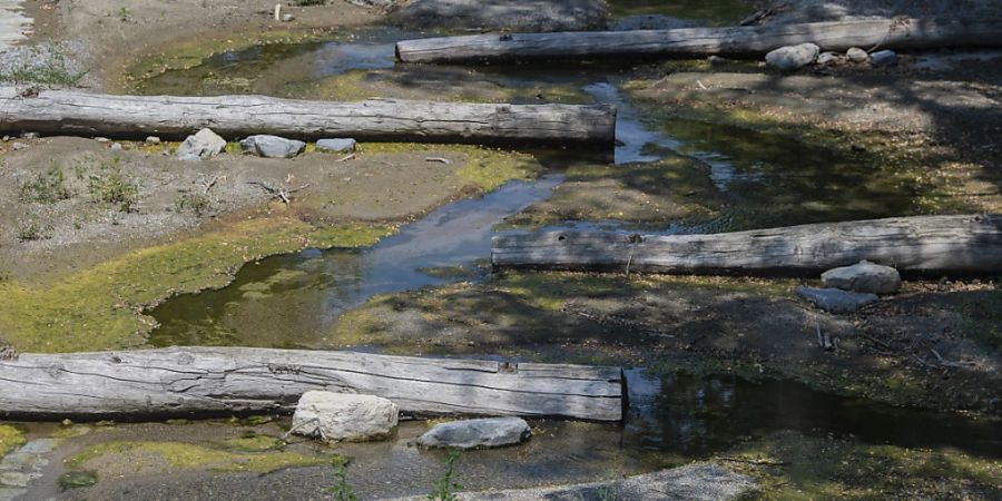 Fast versiegt: Der Fluss Breggia bei Mendrisio TI Mitte Juli. (Archivbild)