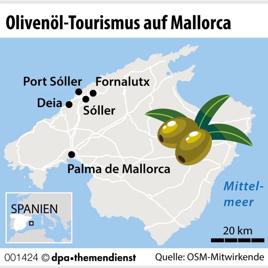 Mallorca Grafik Oliven Spanien Öl