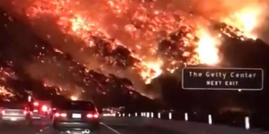 Die Feuer in Kalifornien haben auch die Metropole Los Angeles erreicht.