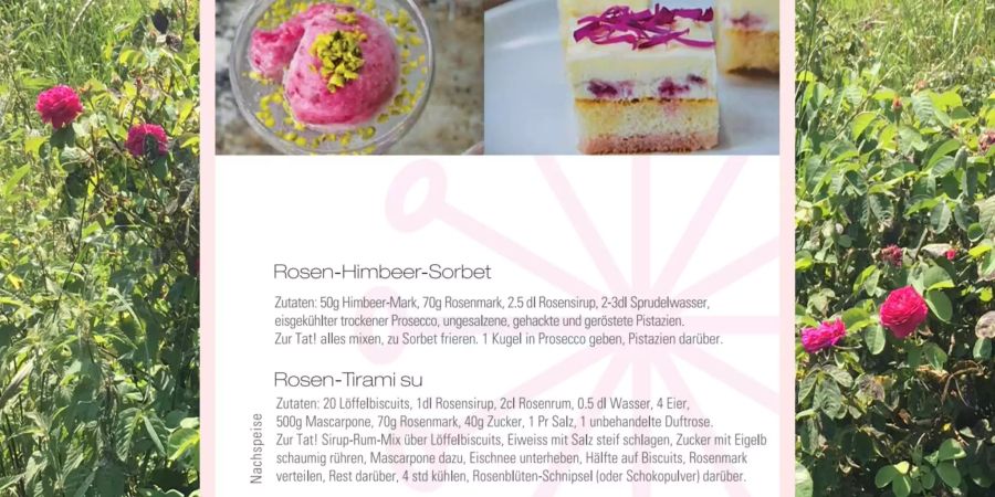 Das Rosen-Himbeer-Sorbet soll laut Lilo Meier auch den Anfängern unter den Rosenköchen gelingen.