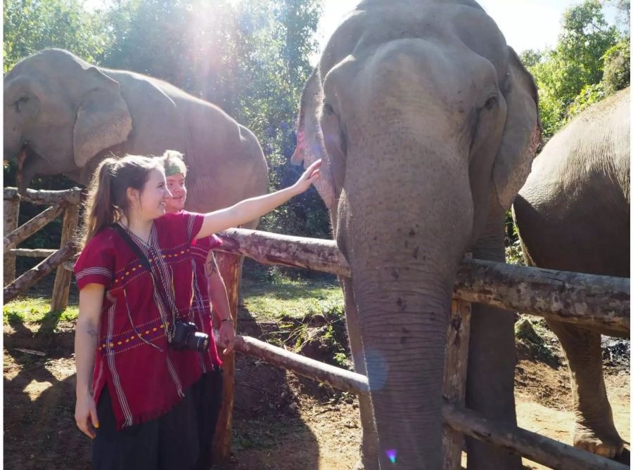 Solche Bilder sind im Happy Elephant Care Valley bald passé, Bild: Happy Elephant Care Valley.