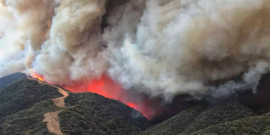 Das sogenannte Thomas-Feuer nördlich von Los Angeles ist bereits zum viertgrössten Flächenbrand in Kalifornien seit 1932 angewachsen.