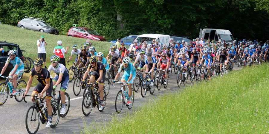 Der 53-jährige Radrennfahrer hatte das Opfer beim Überholen touchiert. (Bild: Radrennen in Gippingen)