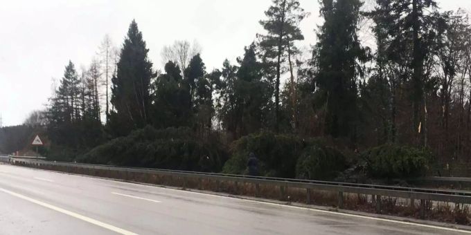 Auch die Autobahn bei Wileroltigen BE ist zurzeit durch einen Baum blockiert. Auch die Autobahn bei Wileroltigen BE ist zurzeit durch einen Baum blockiert.