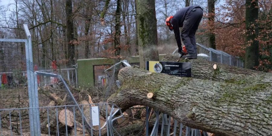 Das Wolfsgehege wurde am Mittwoch komplett zerstört.