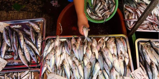 Die Chinesen hätten zwei vietnamesische Fischerboote gerammt, gekapert und den Fang über Bord geworfen. (Symbolbild) Die Chinesen hätten zwei vietnamesische Fischerboote gerammt, gekapert und den Fang über Bord geworfen. (Symbolbild)