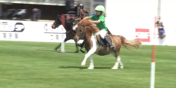 Grosse Bühne für die kleinen Pferde - Rasante Ponywettkämpfe am CSIO St. Gallen