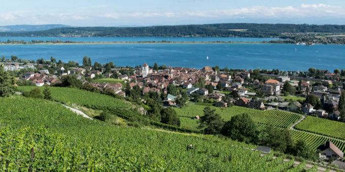 La Neuveville BE - Waldstück in Brand geraten