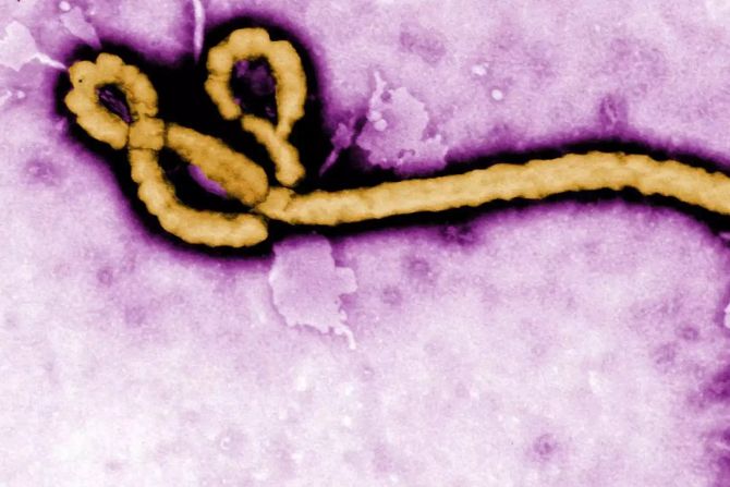 ebola kongo