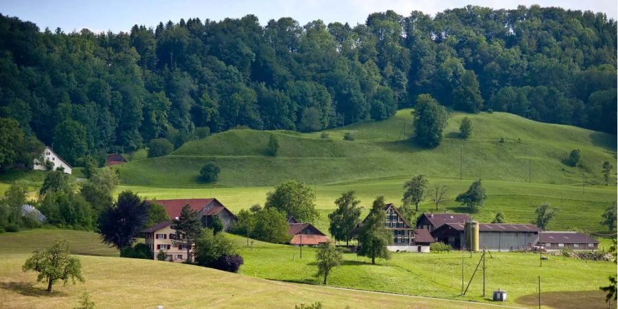 Ein 80-Jähriger wurde nach drei Stunden in Sihlbrugg ZH gefunden.