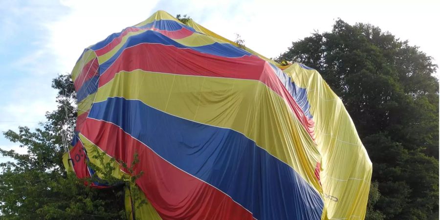 Der farbige Heissluftballon in einer Baumgruppe.