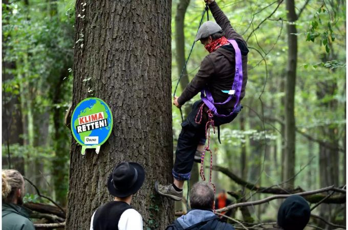 Aktivisten bauen im Hambacher Forst neue Häuser in den Bäumen. Aktivisten bauen im Hambacher Forst neue Häuser in den Bäumen.