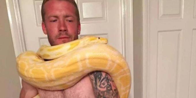 Sie wollte nur kuscheln - Riesenpython erwürgt Besitzer