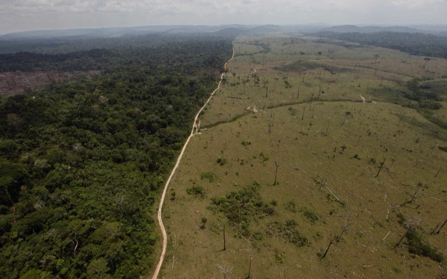 Der Mann lebte alleine im Amazonas. (Symbolbild)