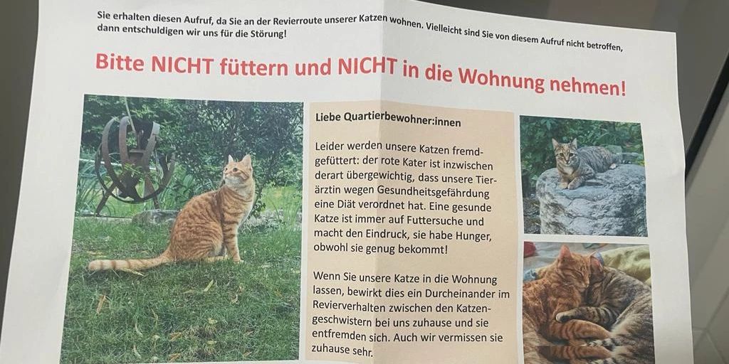 Berner füttern fremde Katze bis Tierärztin Alarm schlägt
