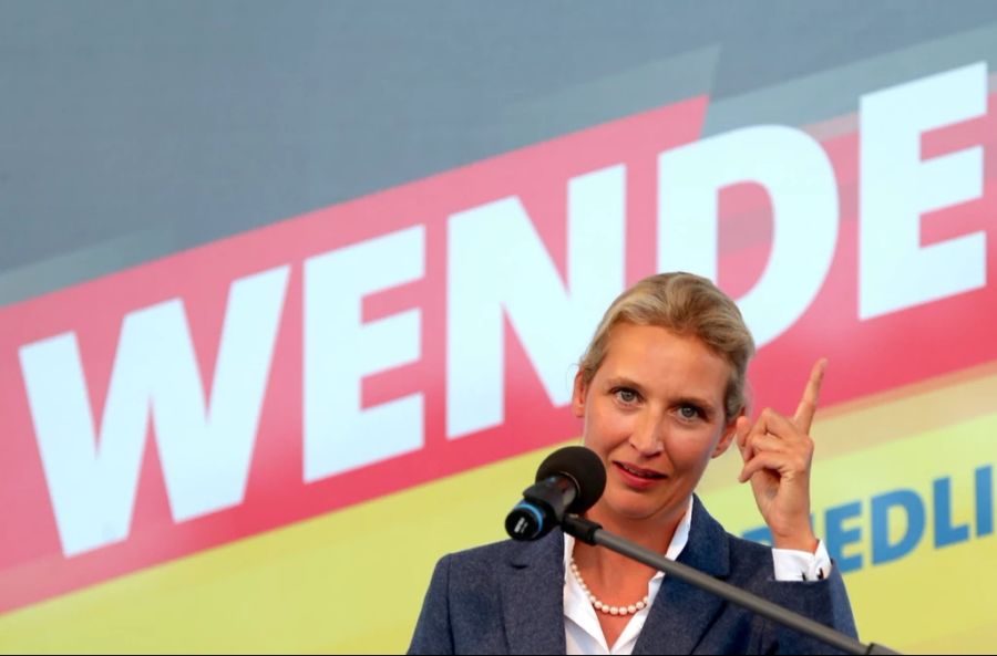 AfD Werteunion Wagenknecht Alternative