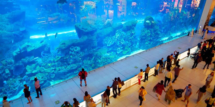 Das Aquarium der Dubai Mall.