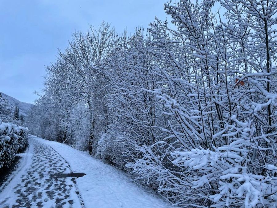 Die Kaltfront hat in der Nacht vielerorts für Schnee gesorgt. Hier ein Bild aus Belp BE.