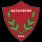hatayspor