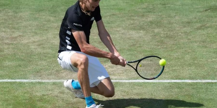 Alexander Zverev fühlt sich in Halle pudelwohl. Foto: Silas Stein
