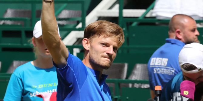 David Goffin