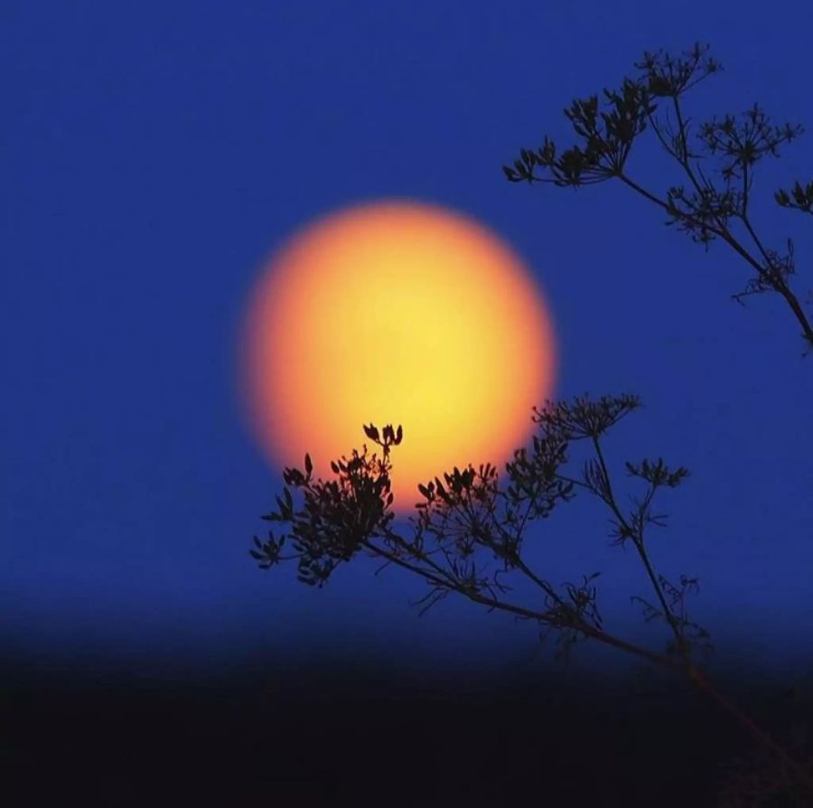 Die partielle Mondfinsternis aufgenommen in Nordbayern (D).