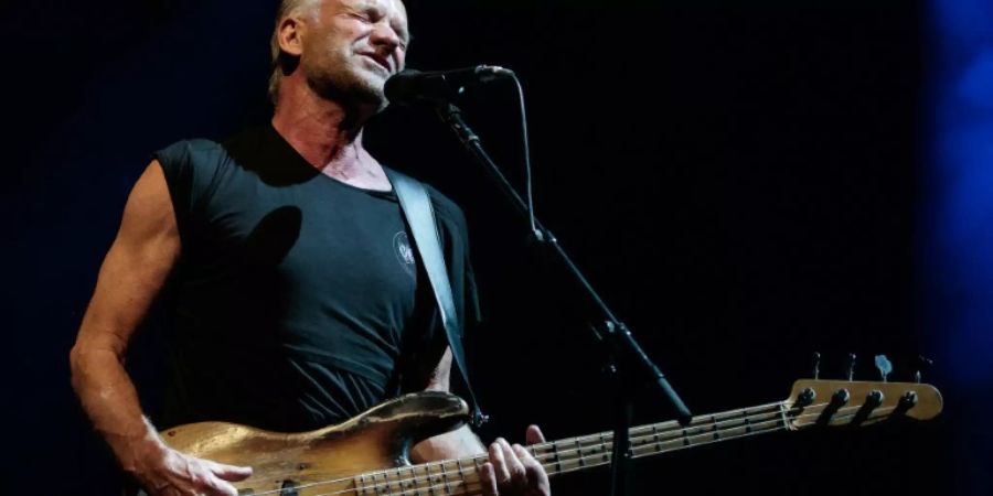 Der britische Sänger Sting