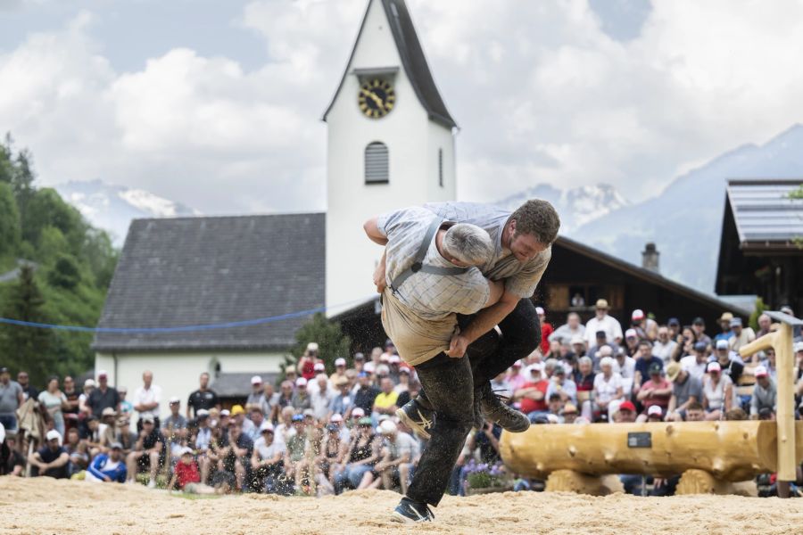 schwingen elm