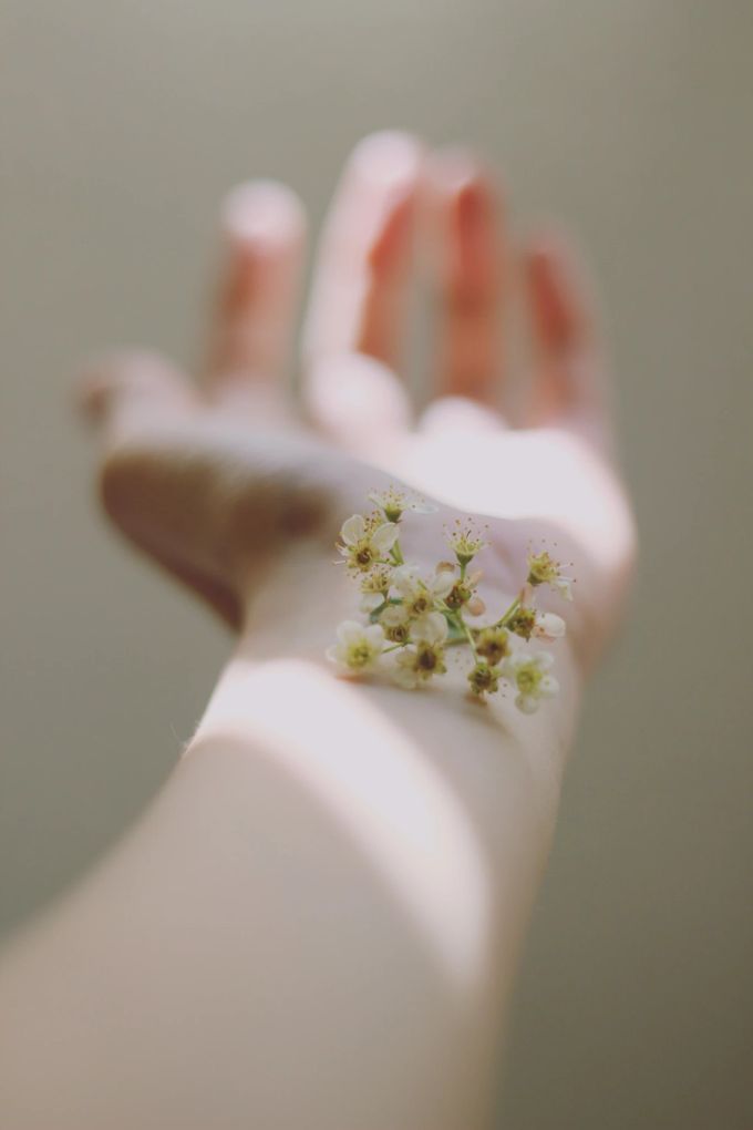 Hochsensibilität ist ein Geschenk, kann aber auch überfordernd sein. Blume auf Arm
