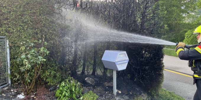 Abtwil SG: Thuja-Hecke gerät in Brand. Abtwil SG Feuer
