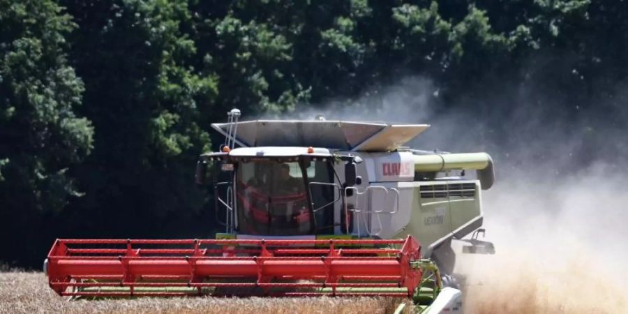 Im Vergleich zur «Missernte» im vergangenen Jahr stieg das Ertragsniveau der Bauern wieder - aber nur leicht. Foto: Henning Kaiser