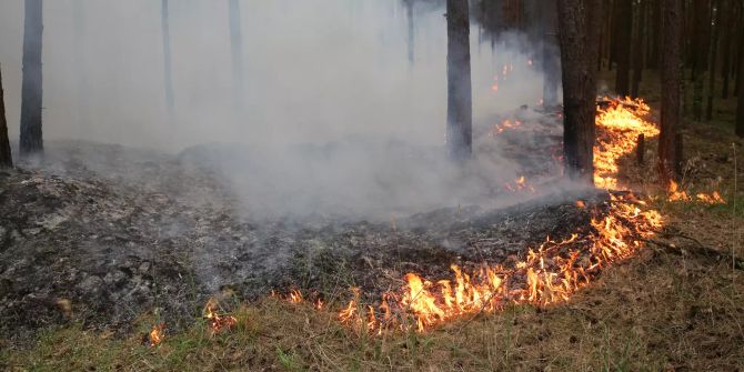 Waldbrand