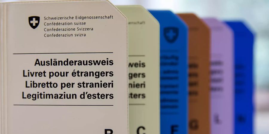 Bald nicht mehr nötig: Hüllen für die heutigen Ausländerausweise aus Papier, die ab November durch Ausweise im Kreditkartenformat ersetzt werden. (Archivbild)