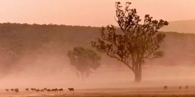 Dürre Australien