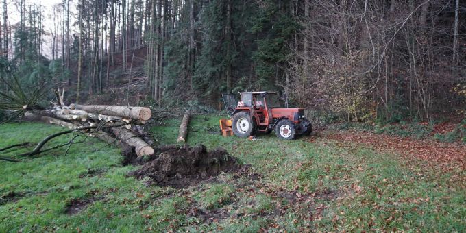 Degersheim SG - 24-Jähriger von Baum getroffen