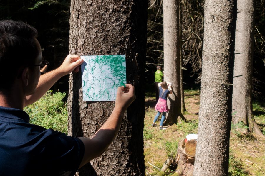 Wald Kunst Menschen Kinder Bilder Baumstamm Rinde