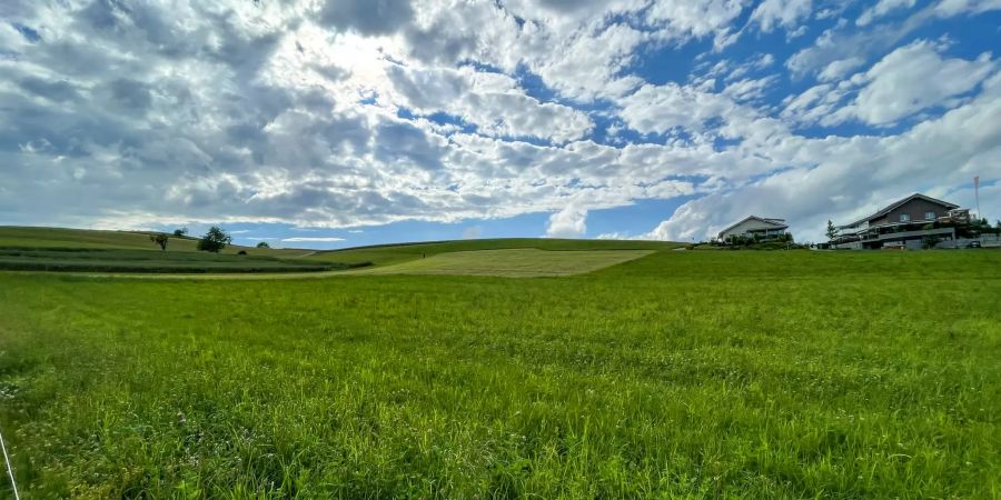 Aussicht über die Gemeinde Roggliswil