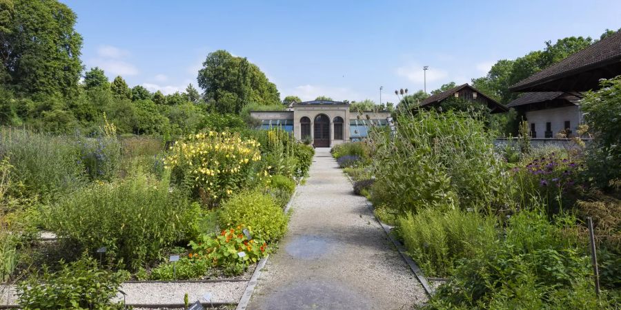 Orangerie der Merian Gärten in Münchenstein.