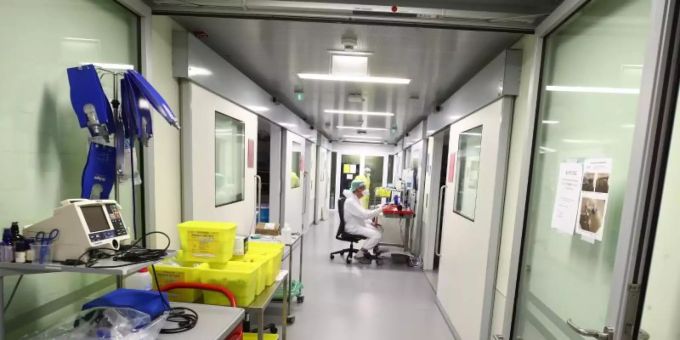 Ein Pfleger sitzt an einem Computer auf einer Covid-19-Intensivstation. Foto: Bodo Schackow/dpa-zentralbild/dpa computer