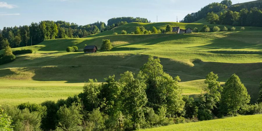 Landschaft im Neckertal Toggenburg.