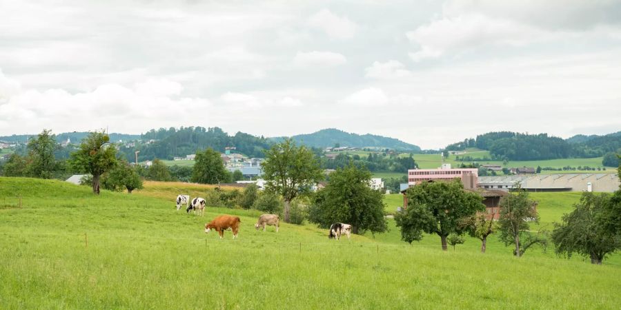 Landwirtschaft in der Gemeinde Jonschwil.