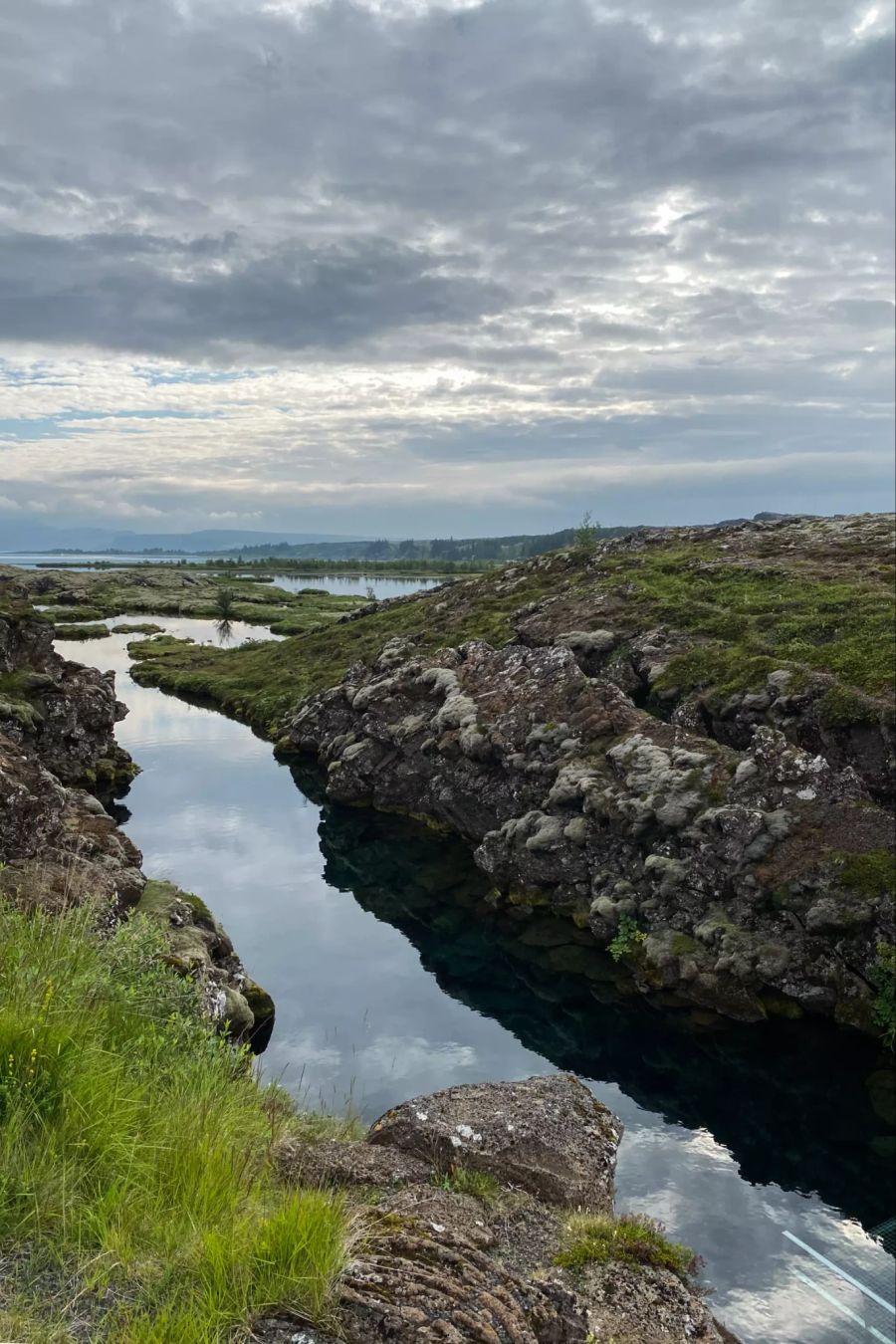 Wasser, umgeben vom Grass und Steinen.