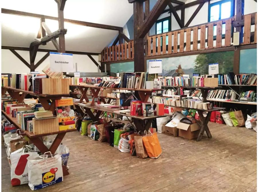 Abgegebene Bücher zum Bring- und Holtag 2018 - zvg Gemeinde Thalwil