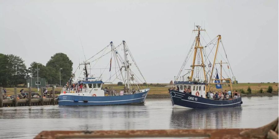 Zwei Fischkutter mit Gästen an Bord fahren am Kutterhafen entlang.