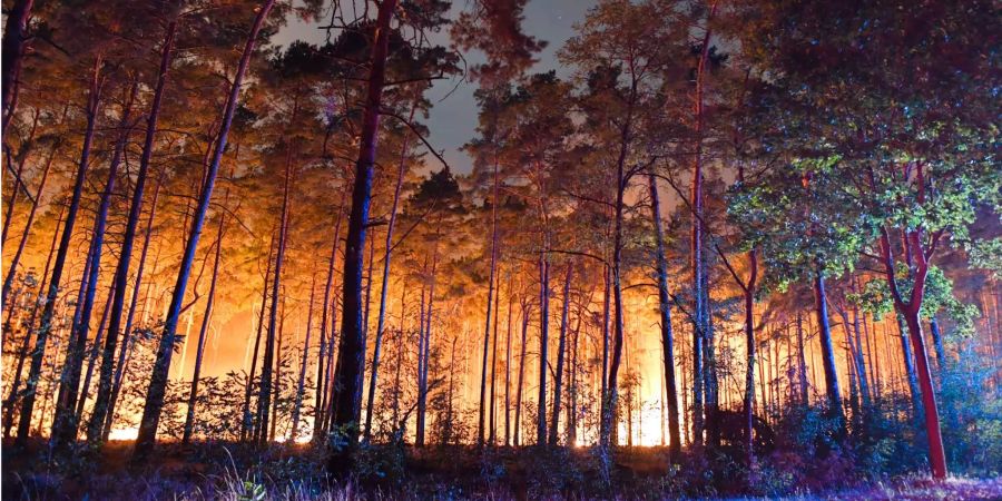 Hell erleuchtet ist ein brennender Wald nahe Klausdorf (D)