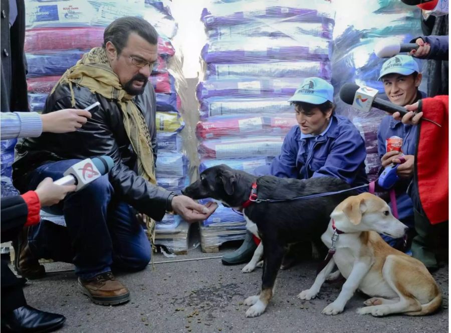 Setzt sich für kuriose Kryptowährungen ein und für ausgesetzte Hunde: Action-Held Steven Seagal.