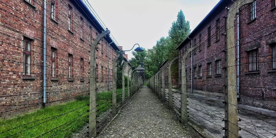 auschwitz