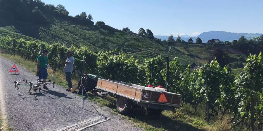 In Stäfa ZH betreibt Kunz am Lattenberg seine Weinkultur.