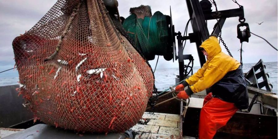 Das Gütesiegel MSC steht für nachhaltige Fischerei.