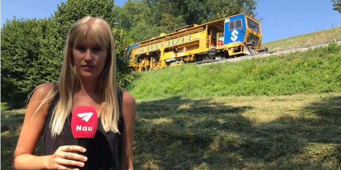 Rotsee LU - Ein Schotterwagen legt SBB-Strecke Luzern - Zürich lahm